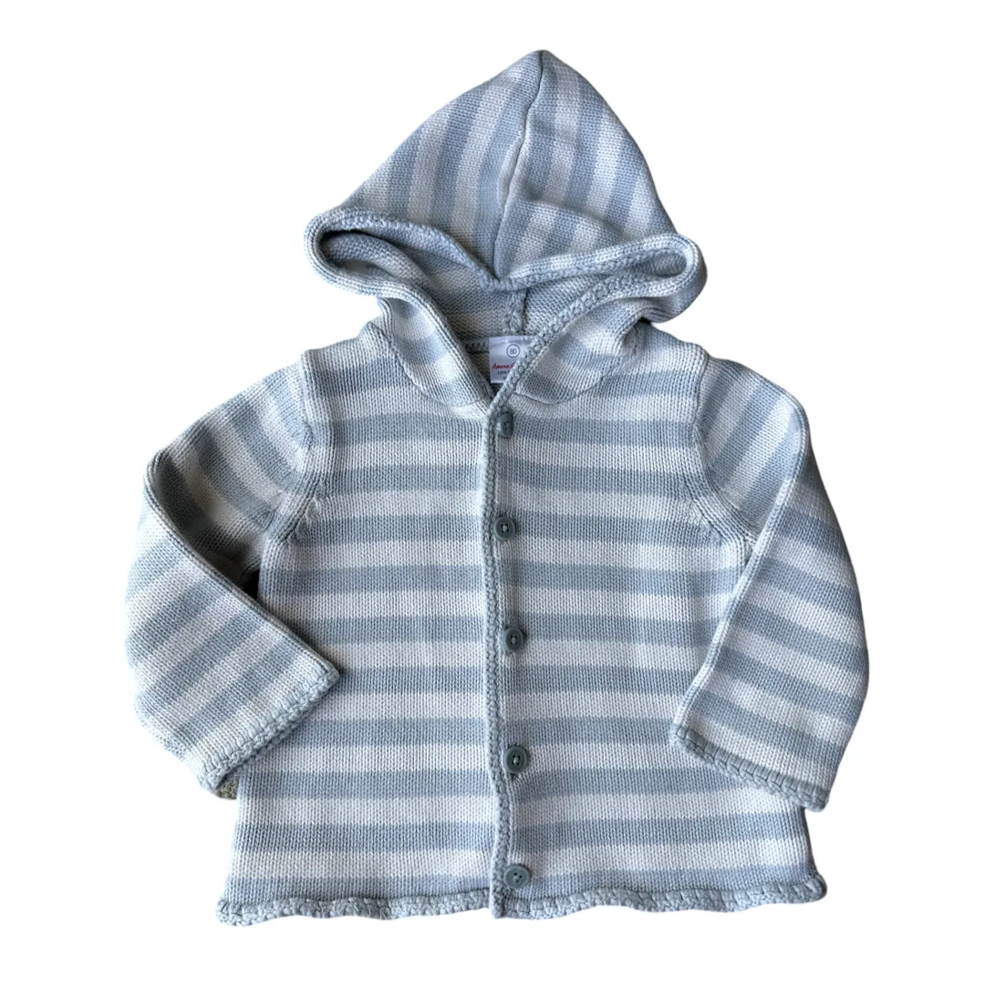 Blue and White Striped Knit Hoodie with Button Front Closure