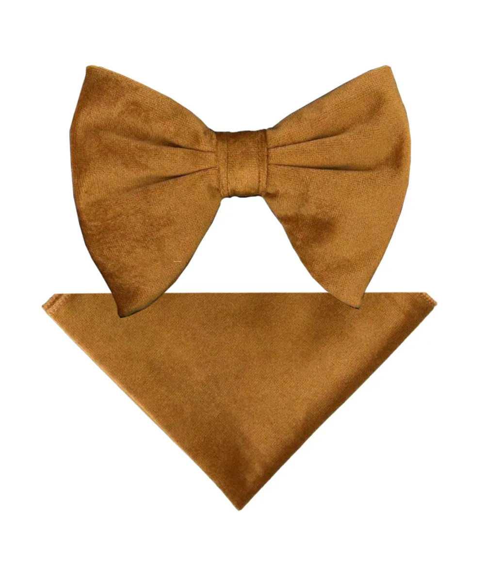 Vittorio Farina Men's Velvet Teardrop Bow Tie & Pocket Square in Gift Box