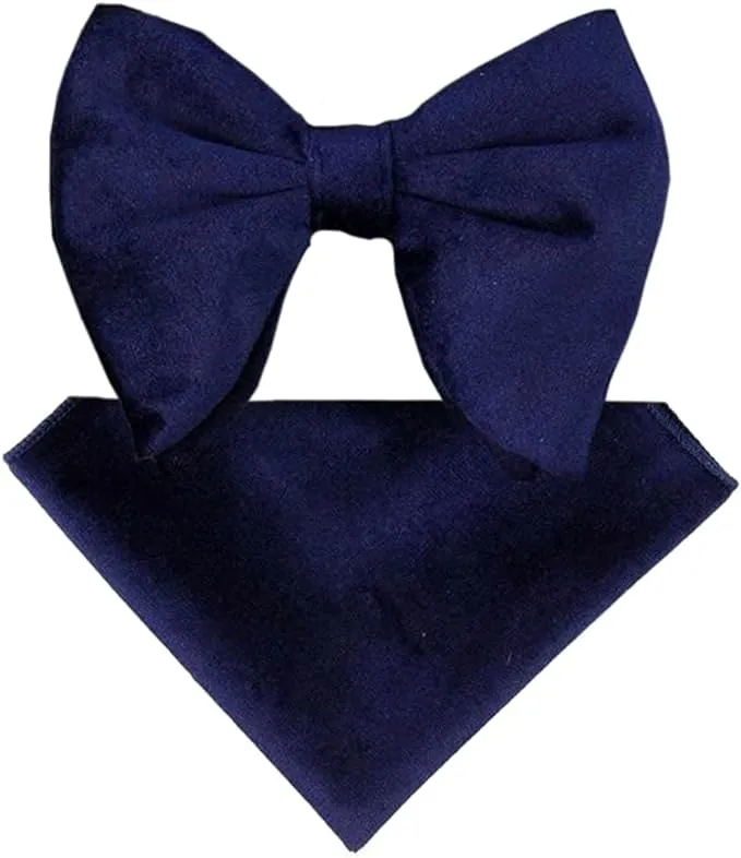 Vittorio Farina Men's Velvet Teardrop Bow Tie & Pocket Square in Gift Box