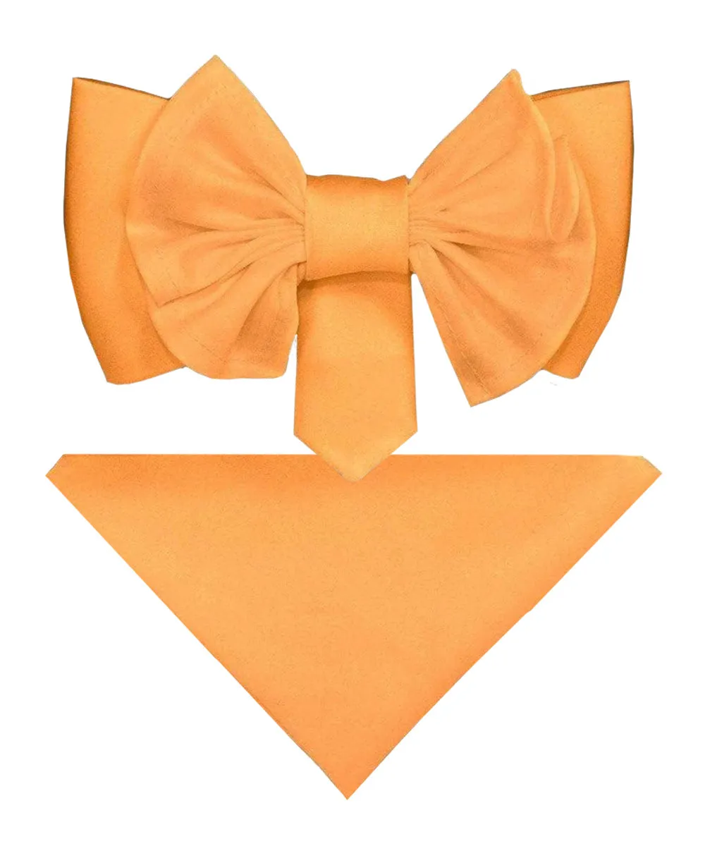 Vittorio Farina Men's XL Solid Satin Bow Tie & Pocket Square in Gift Box