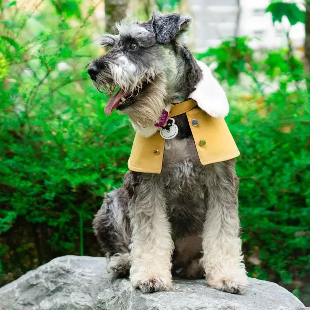 White Faux Fur Trench Coat in Goldenrod